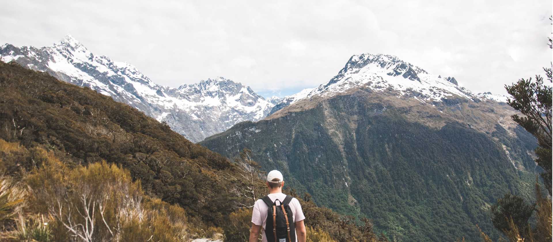 Walking along the Routeburn Track | Tom King