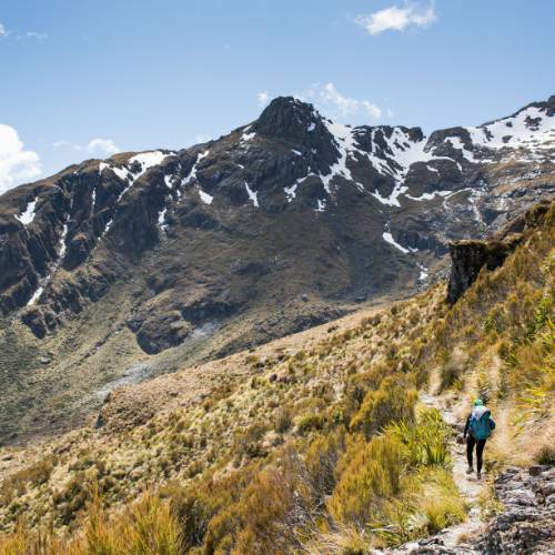 An awesome hike up the Greenstone Valley then up to Harris Saddle