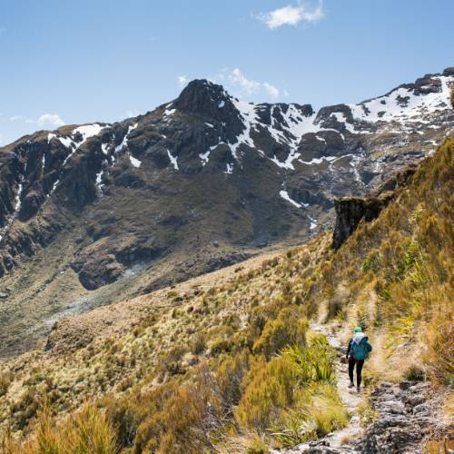 An awesome hike up the Greenstone Valley then up to Harris Saddle