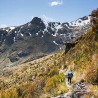 An awesome hike up the Greenstone Valley then up to Harris Saddle | Sholto Douglas