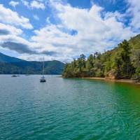 A secluded bay along the Nydia Track | MarlboroughNZ