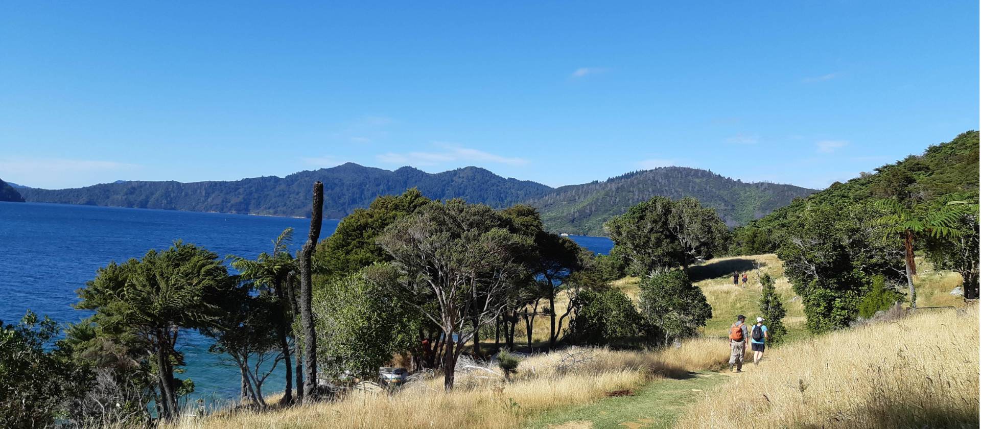 A group of walkers sets out on the Queen Charlotte Track | Kaye Wilson