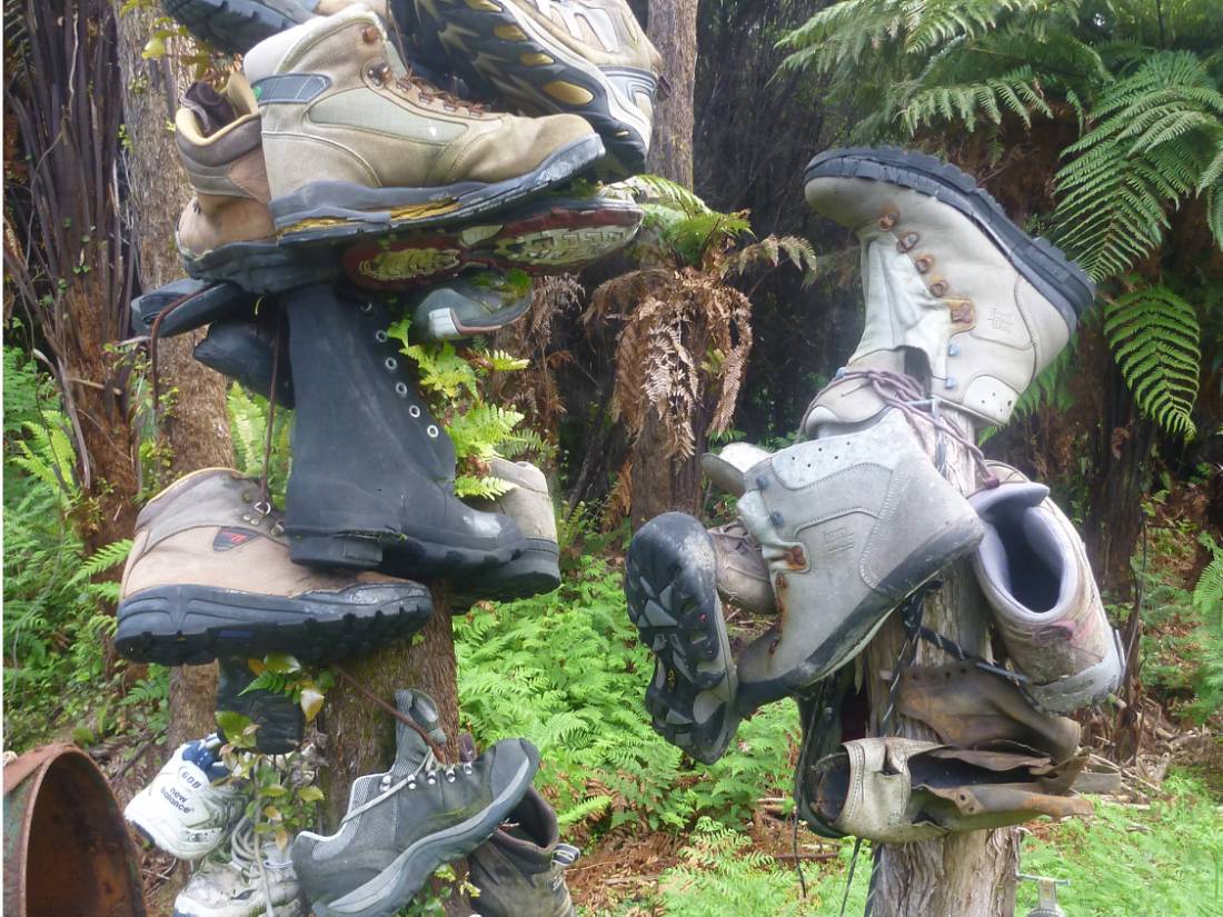 Where all good boots go to retire on the Hump Ridge Track |  <i>Shane Boocock</i>