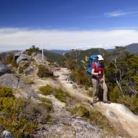 Traversing Skyline Ridge | Janet Oldham