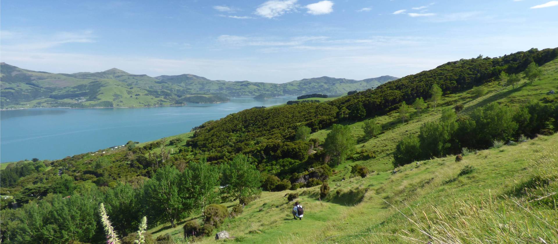 Banks Peninsula selfguided walk Hiking South Island New Zealand