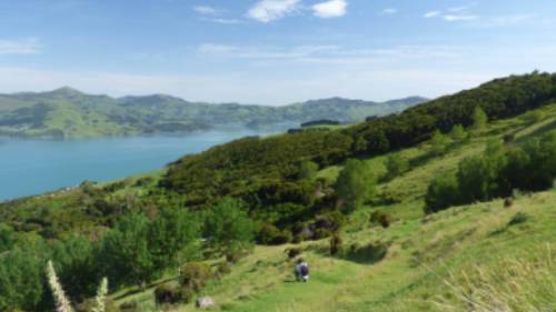 First stretch of the trail from Onuku Farm heading onto the Banks Peninsula Hike | Janet Oldham