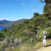 Stopping to admire the view along the Queen Charlotte Track | Kaye Wilson
