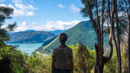 Stopping to admire the views along the Nydia Track | MarlboroughNZ