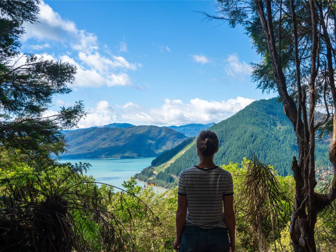 Stopping to admire the views along the Nydia Track |  <i>MarlboroughNZ</i>