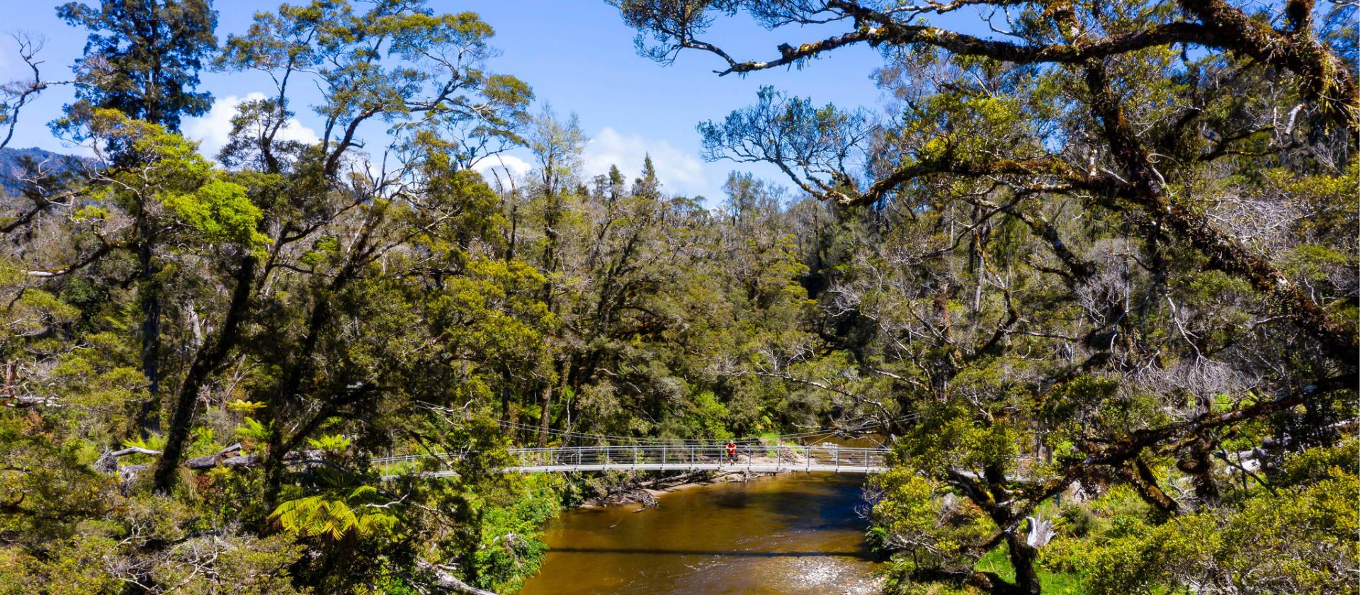 The Paparoa Track features a number of swing bridges | Jase Blair (Tourism New Zealand)