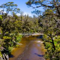 The Paparoa Track features a number of swing bridges | Jase Blair (Tourism New Zealand)