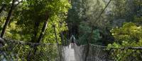 Swing bridges across streams far below add some adventure on the way to the Pinnacles | Kylie Rae