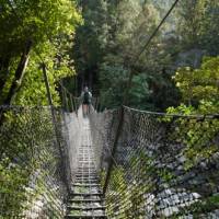 Swing bridges across streams far below add some adventure on the way to the Pinnacles | Kylie Rae