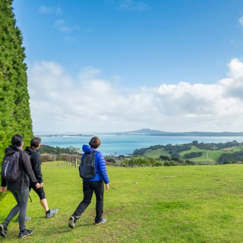 Walking the Te Ara Hura with Rangitoto views in the distance