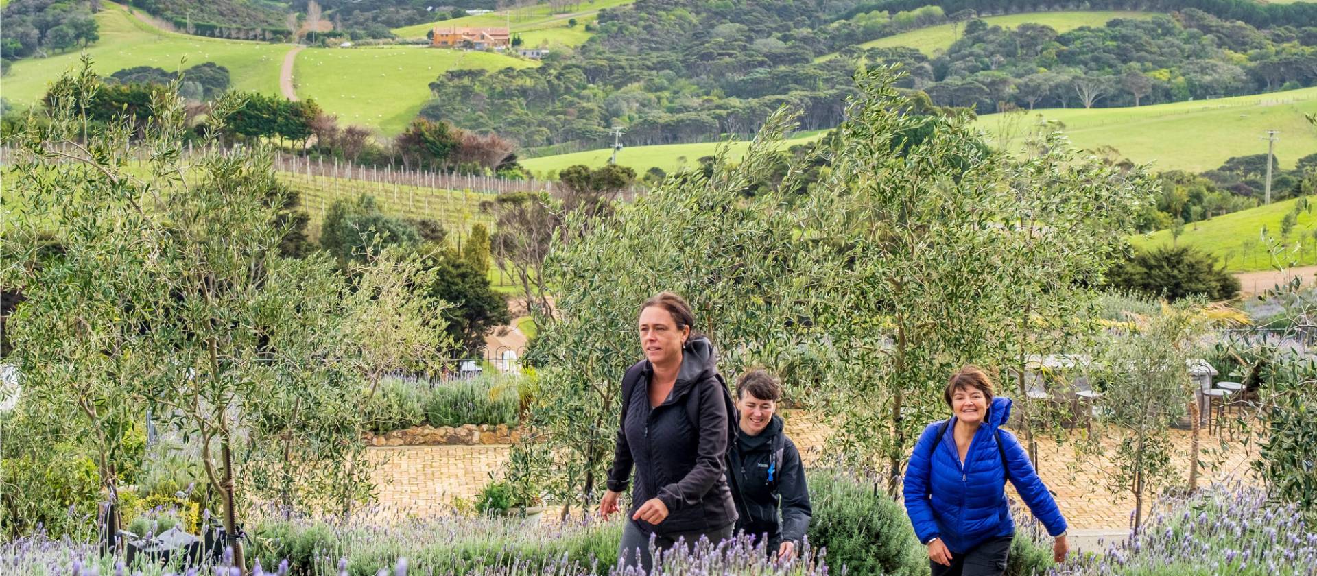 Walking doesn't have to be hard work, especially when you get to enjoy the Waiheke vineyards | Gabrielle Young
