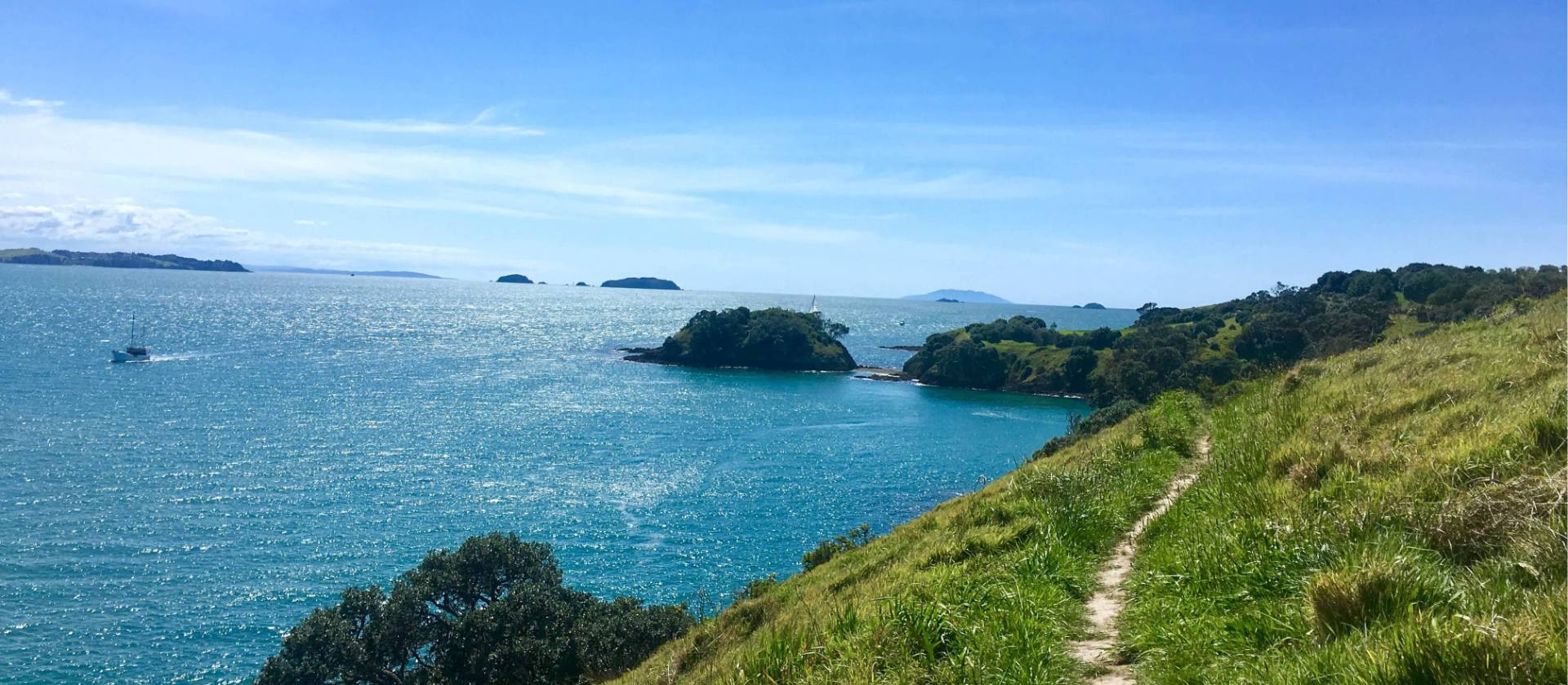Parts of the Te Ara Hura are a narrow track along the cliffs edge | Jil Beckmann