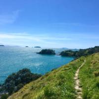 Parts of the Te Ara Hura are a narrow track along the cliffs edge | Jil Beckmann