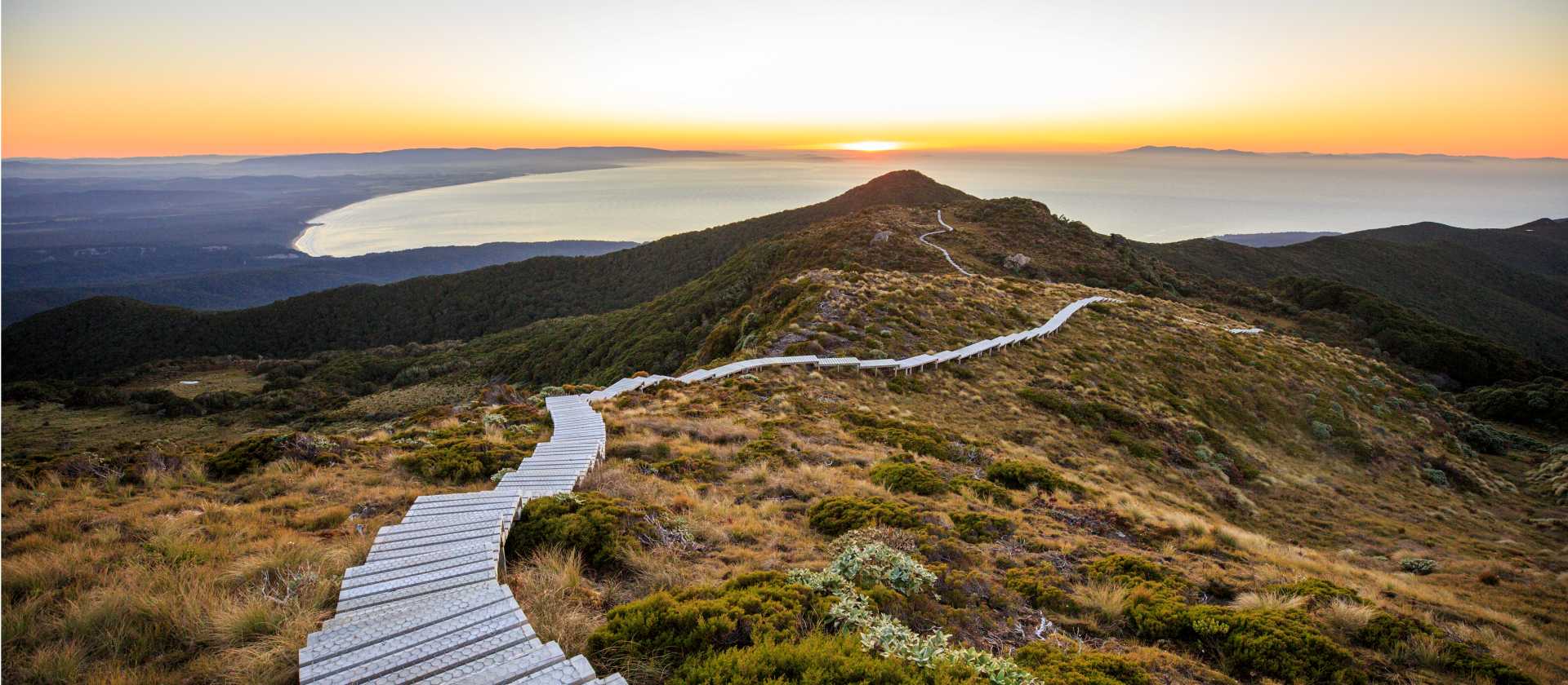 Overlooking Te Waewae Bay | Liz Carlson