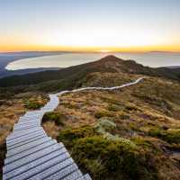 Overlooking Te Waewae Bay | Liz Carlson