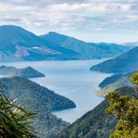 Stunning views greet you from the Nydia Track | MarlboroughNZ