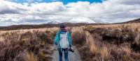 Always ideal to have your camera on the ready in Tongariro National Park | Thomas Schweighofer