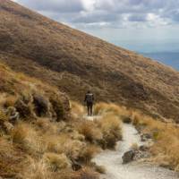 Walker on the Tongariro National Park trails | Hernan Perez