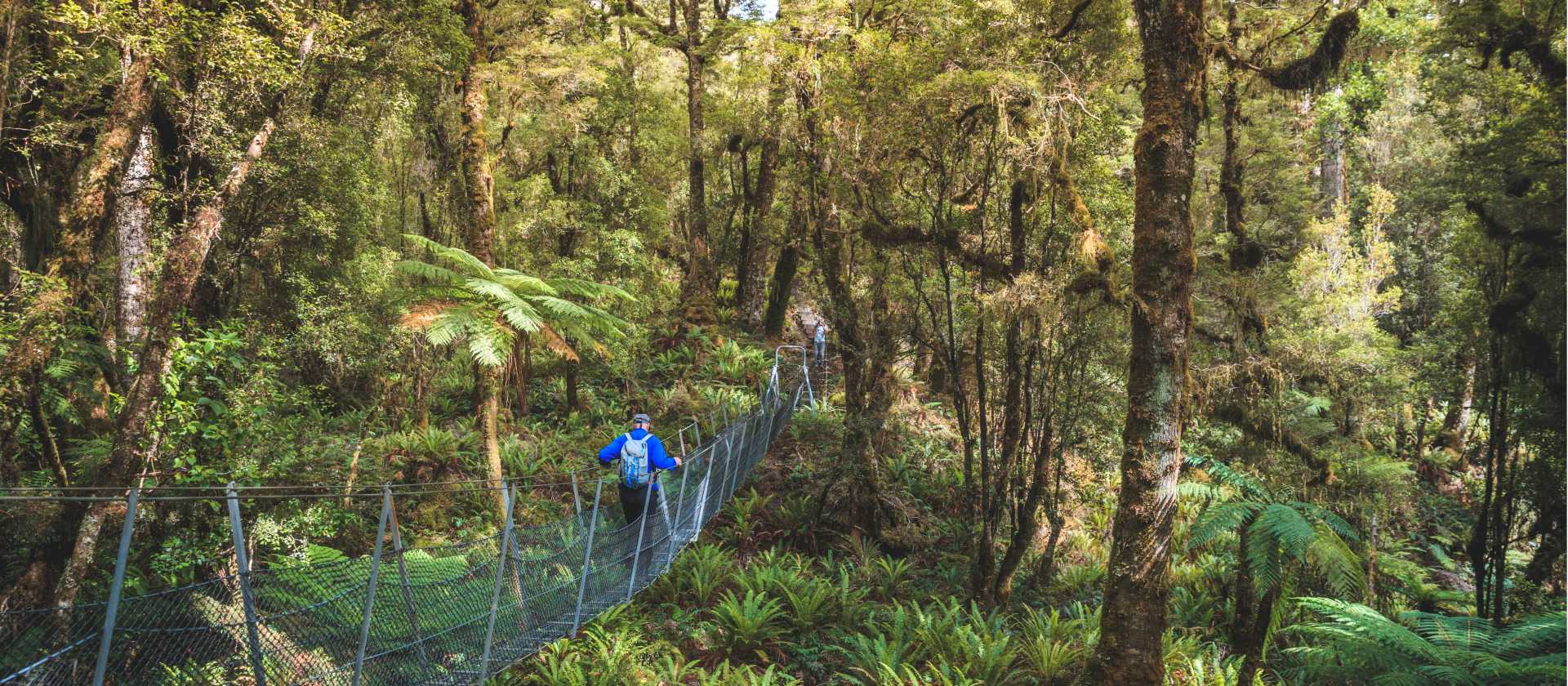 Trekking along the Hump Ridge swing bridge - Great South - credit: Liz Carlson | Liz Carlson