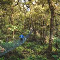 Trekking along the Hump Ridge swing bridge - Great South - credit: Liz Carlson | Liz Carlson