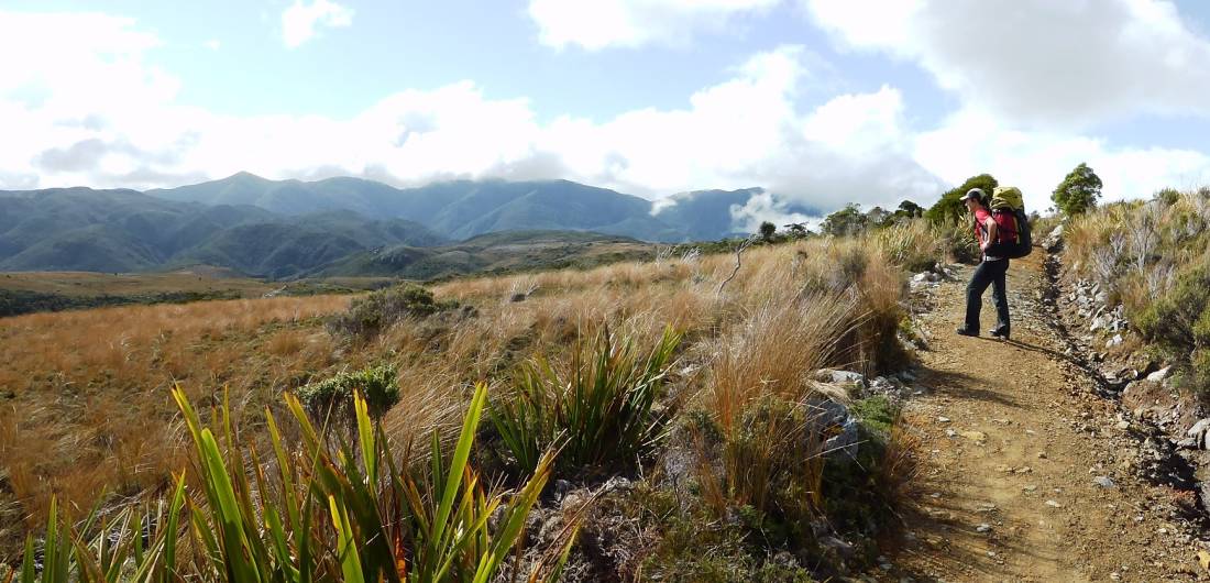 A walker stops to admire the views across the Tussockland |  <i>Mar Knox</i>