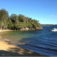 Predator-free Ulva Island off Stewart Island | Janet Oldham