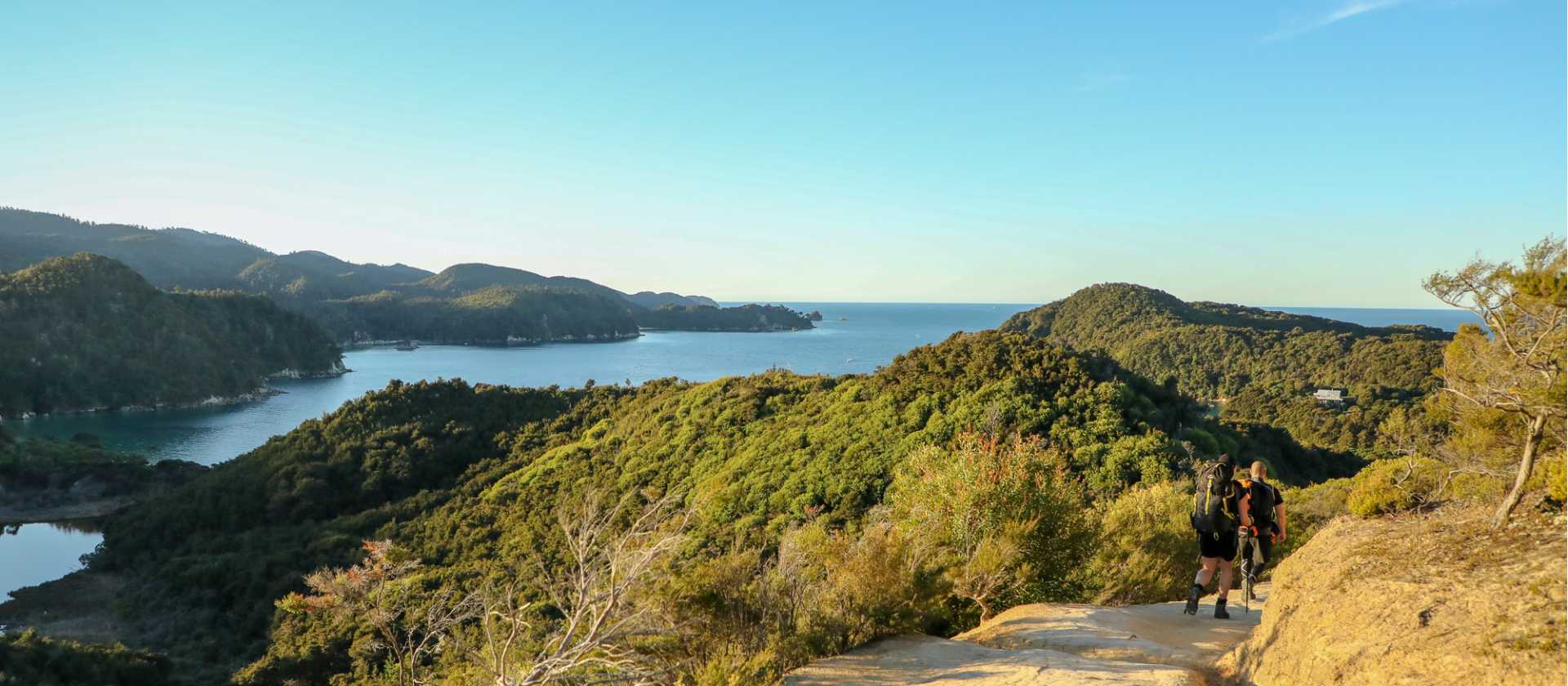 View of Anchorage from the Abel Tasman Coast Track | abeltasman.com