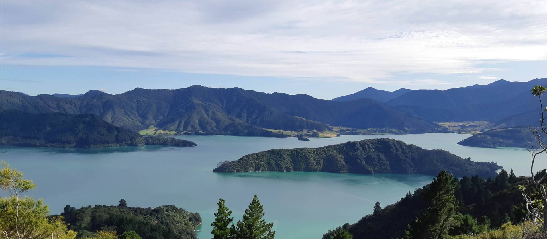 Views over Kenepuru Sound from Torea Saddle | Kaye Wilson