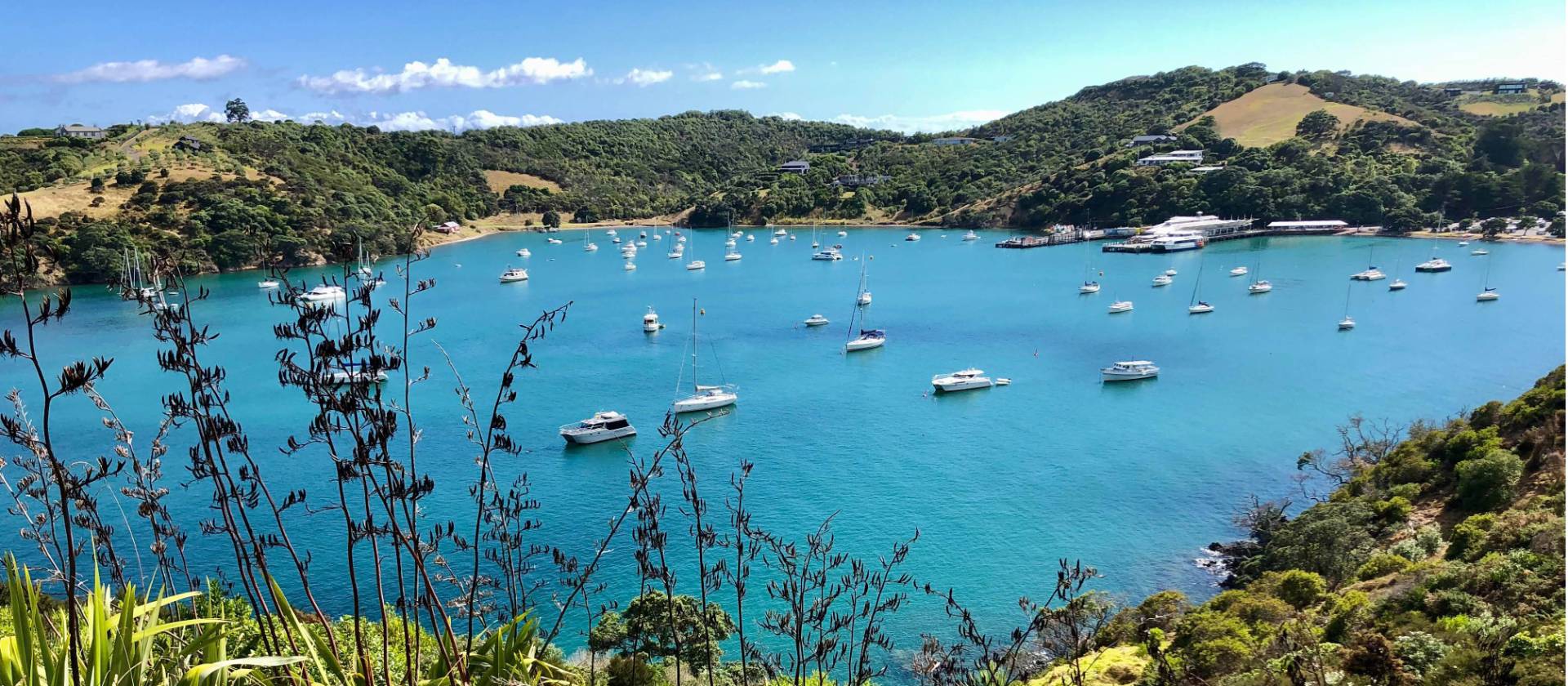 A full harbour can be seen from the Te Ara Hura trail on Waiheke on a summers day | Natalie Tambolash
