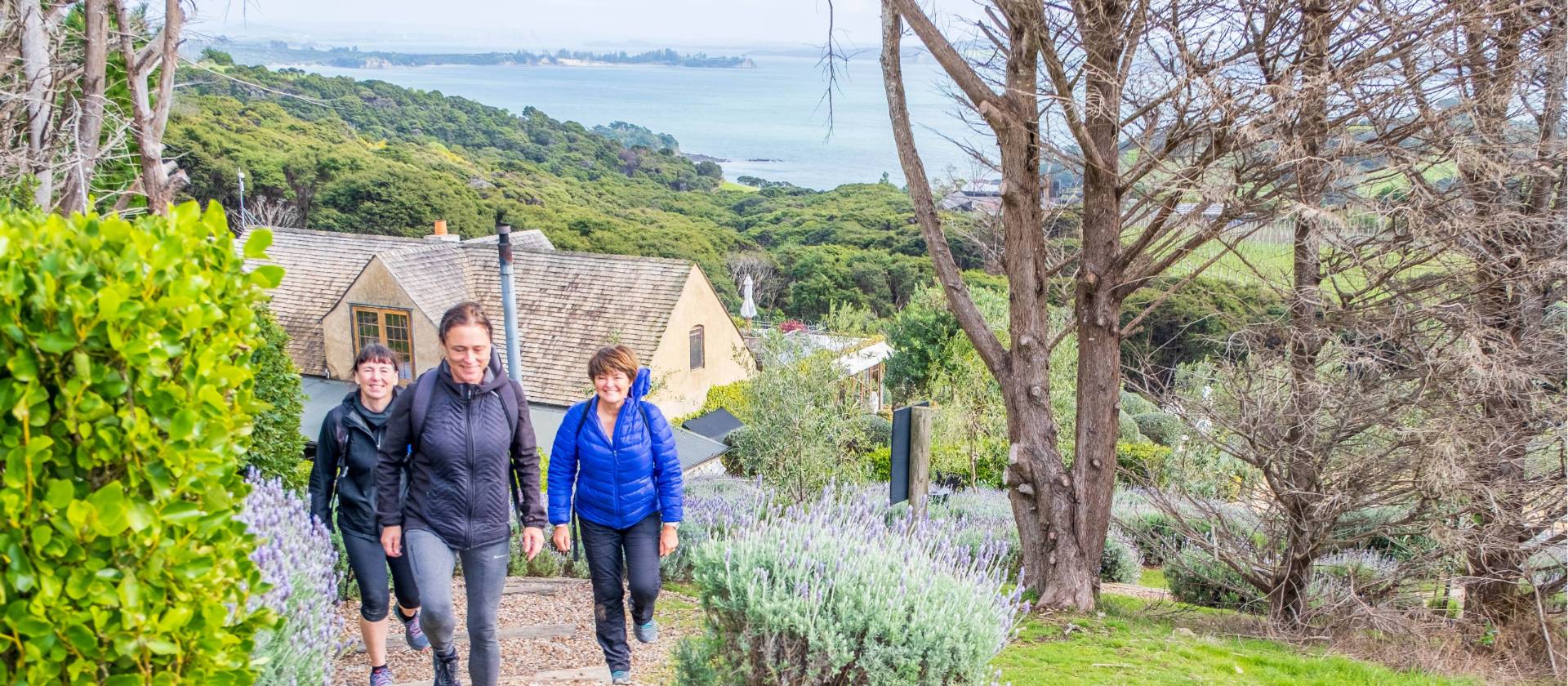 What a better way to walk then through the vineyards of Waiheke with stunning views | Gabrielle Young
