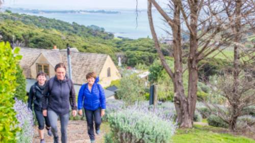 What a better way to walk then through the vineyards of Waiheke with stunning views | Gabrielle Young