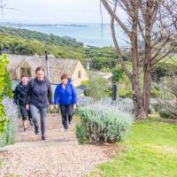 What a better way to walk then through the vineyards of Waiheke with stunning views | Gabrielle Young