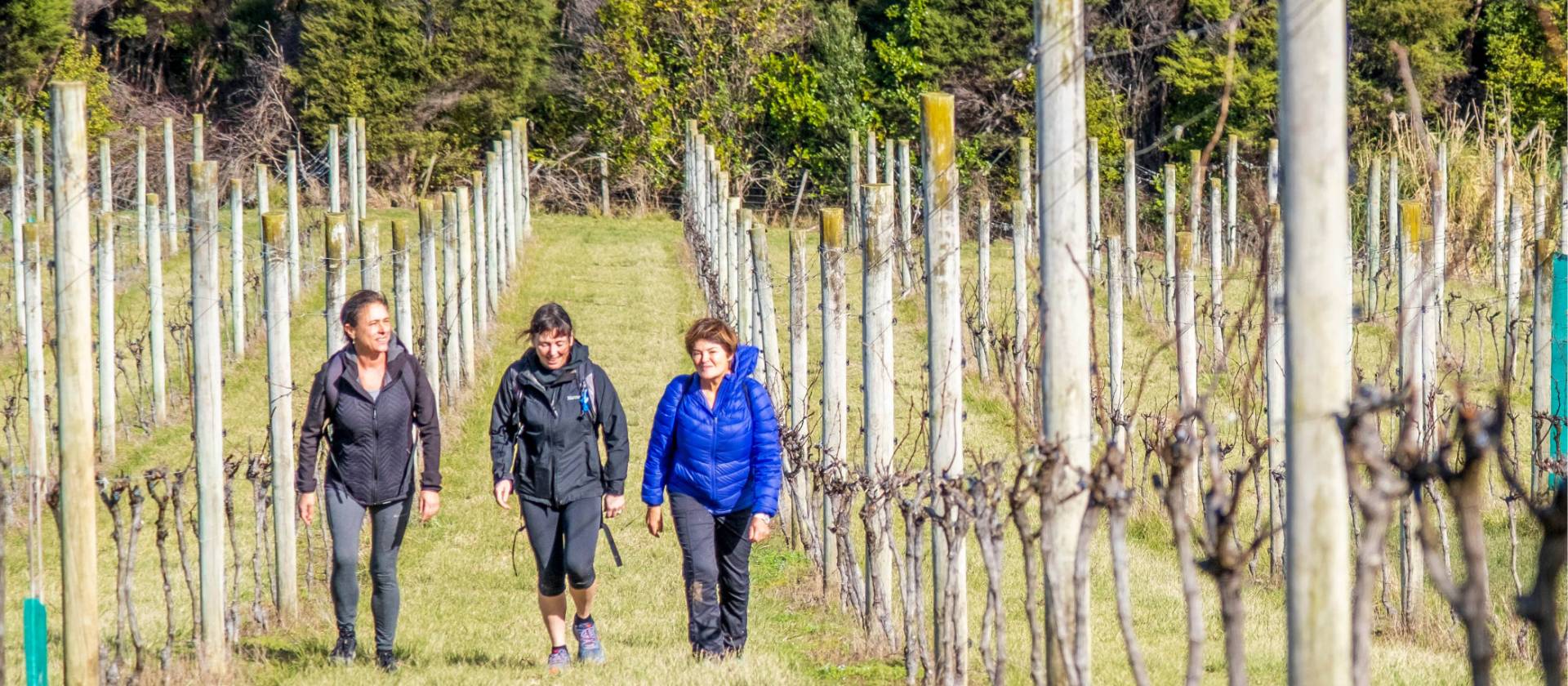 A group of walkers enjoy the trails through the vineyards on Waiheke | Gabrielle Young