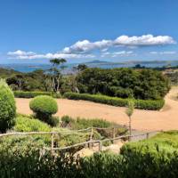 Immaculate wineries on Waiheke provide stunning views and a rest whilst doing the Te Ara Hura. | Natalie Tambolash