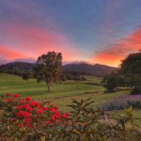 Stunning colours of sunrise near Maungatautari Sanctuary, Waikato | Kylie Rae