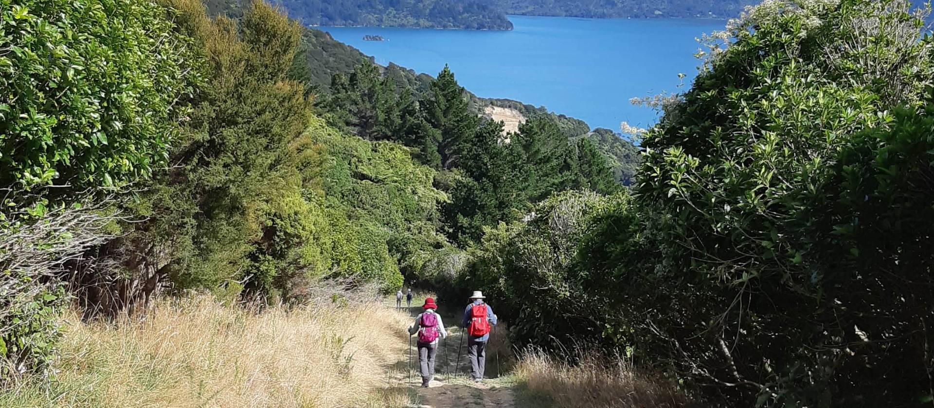 Enjoying each others company on the Queen Charlotte Track