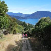 Enjoying each others company on the Queen Charlotte Track
