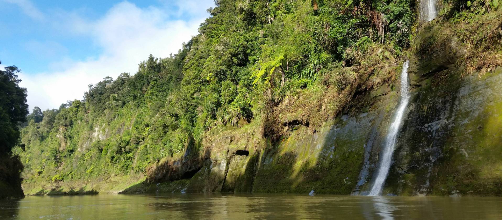 Some of the stunning nature along the Whanganui Journey