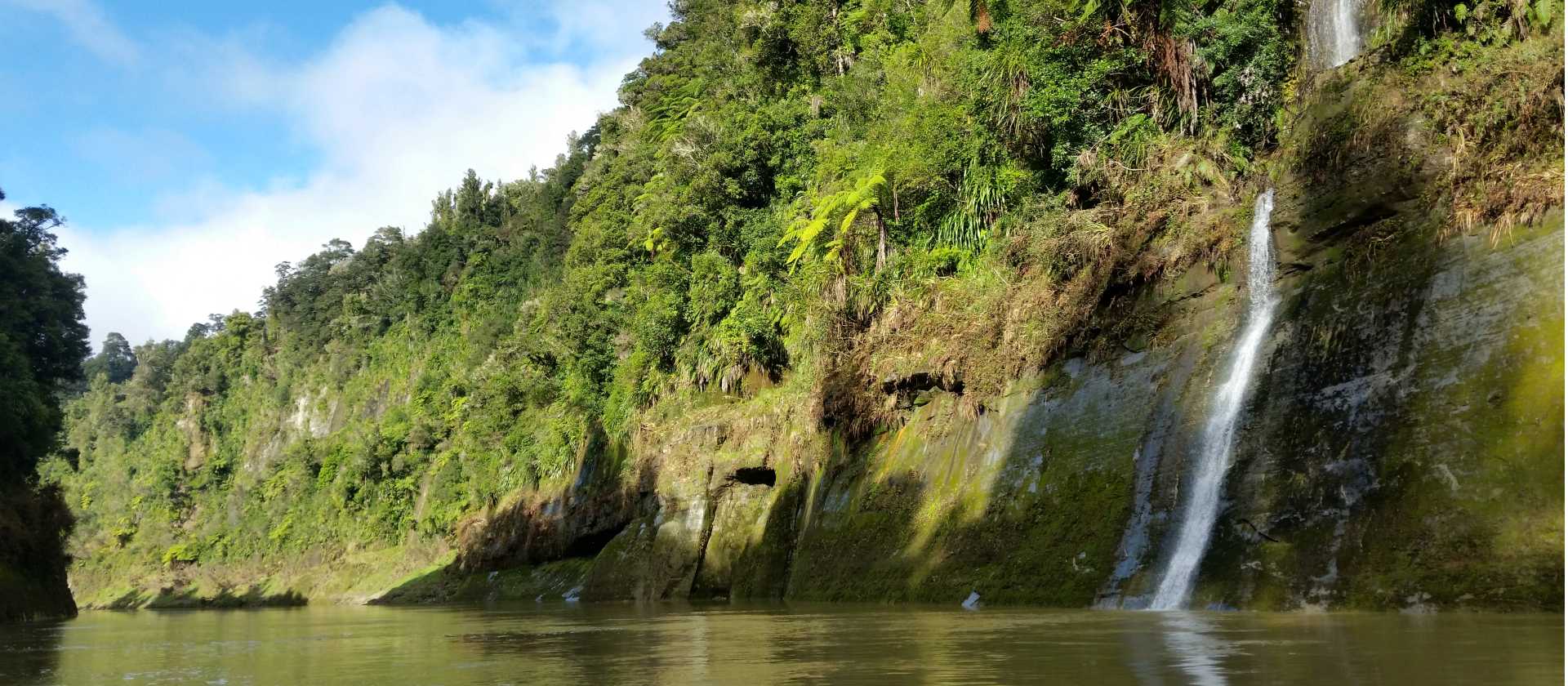 Some of the stunning nature along the Whanganui Journey