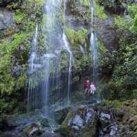Witness native vegetation and beautiful waterfalls on the Banks Peninsula