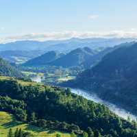 Whanganui Journey looking beautiful and lushes