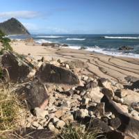 Rugged coastline along the Heaphy Track | Janet Oldham