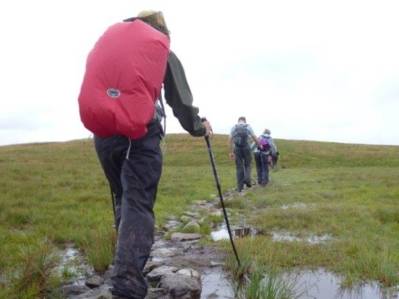 Poles come in handy when crossing streams and navigating slippery or uneven terrain |  <i>Jaclyn Lofts</i>