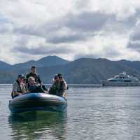 Zodiac cruising near Blumine Island | Fiona Wardle