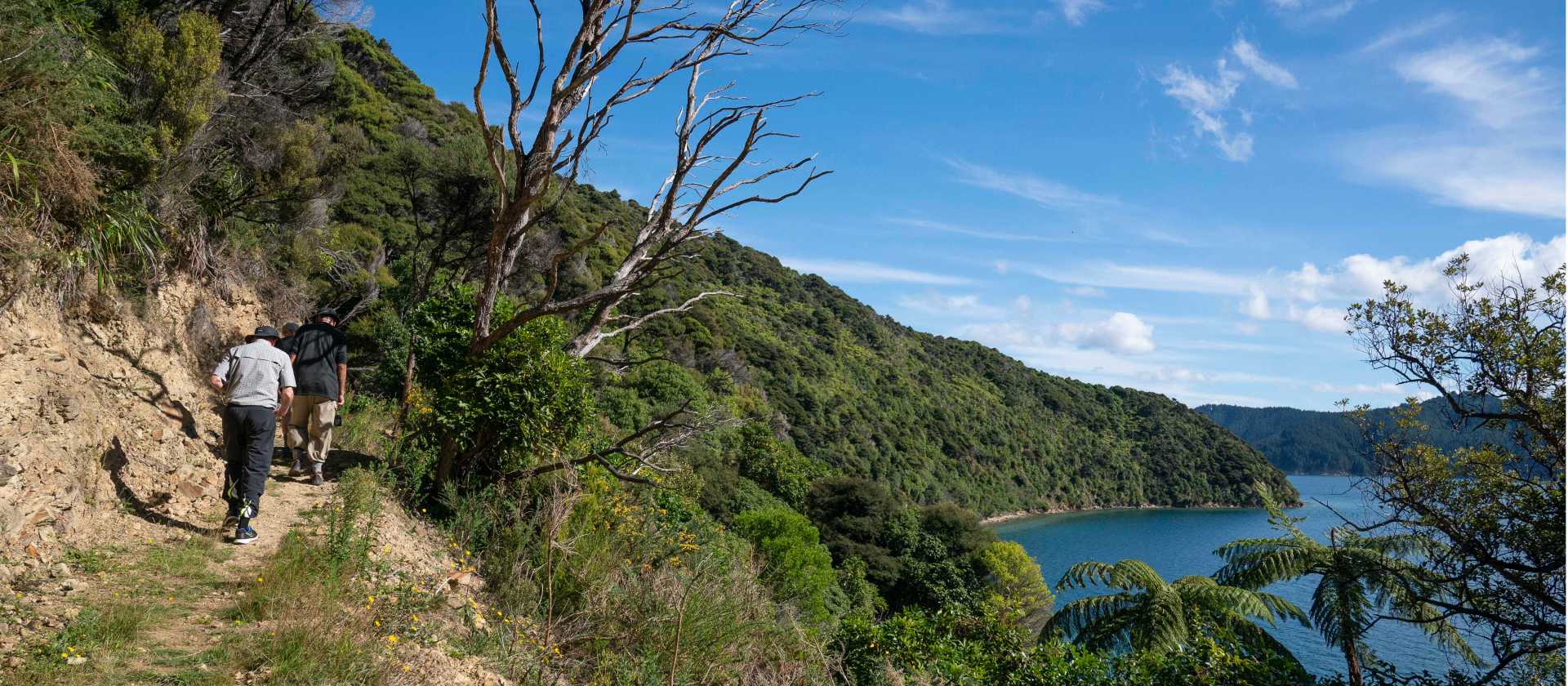 Hiking on Blumine Island | Fiona Wardle