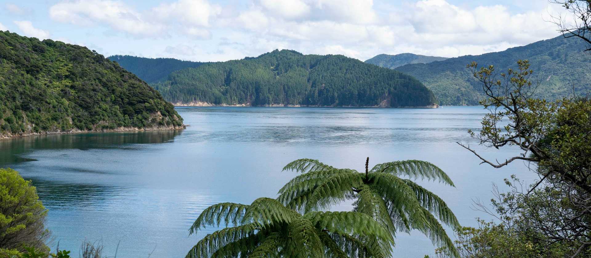 Perano, Blumine viewpoint | Fiona Wardle